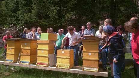 Die Kursinhalte MODUL 1: Einführung in die Bienenhaltung Aufstellung von Bienenvölkern Bienenwesen Aufbau von Völkern Beutensysteme Geräte Betreuung der Völker im Jahreslauf (Schwerpunkt Auswinterung