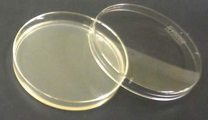 Agarplatten dienen Zur Anzucht von Bakterien Blutagar (Vollmedium) Selektivagar, Differenzierungsagar (Endo-Agar) Schaedler Agar