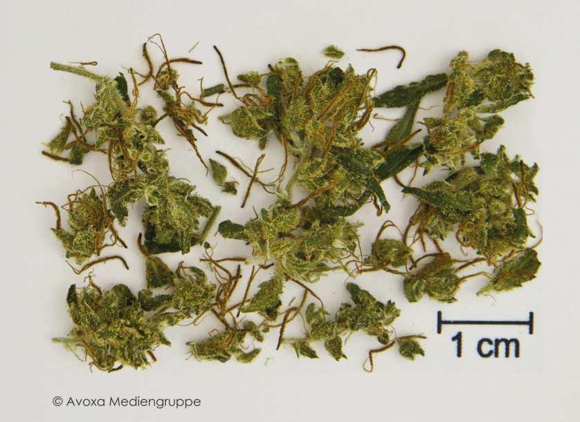 2. Verordnung von Betäubungsmitteln auf Cannabis-Basis Für die Verordnung von Cannabisblüten und Cannabinoid-haltiger Zubereitungen hat Deutscher Arzneimittel-Codex/Neues Rezeptur-Formularium