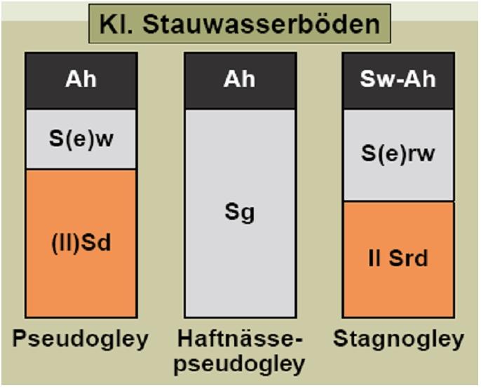 Abbildung 9: Klasse der Stauwasserböden grundsätzlich.