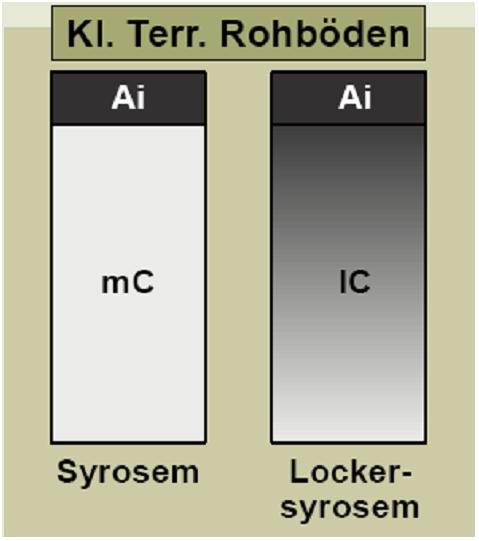 Abbildung 1: Klasse der Terrestrischen Rohböden 3.1.2 Klasse: Ah/C-Böden Diese Klasse vereinigt die Bodentypen Ranker und Rendzina bzw. Pararendzina und Regosol.