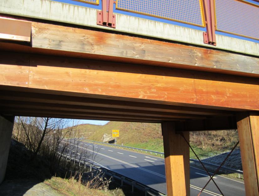 12 5. HolzBauSpezial Brückenbau 2014 Erfahrungen zu
