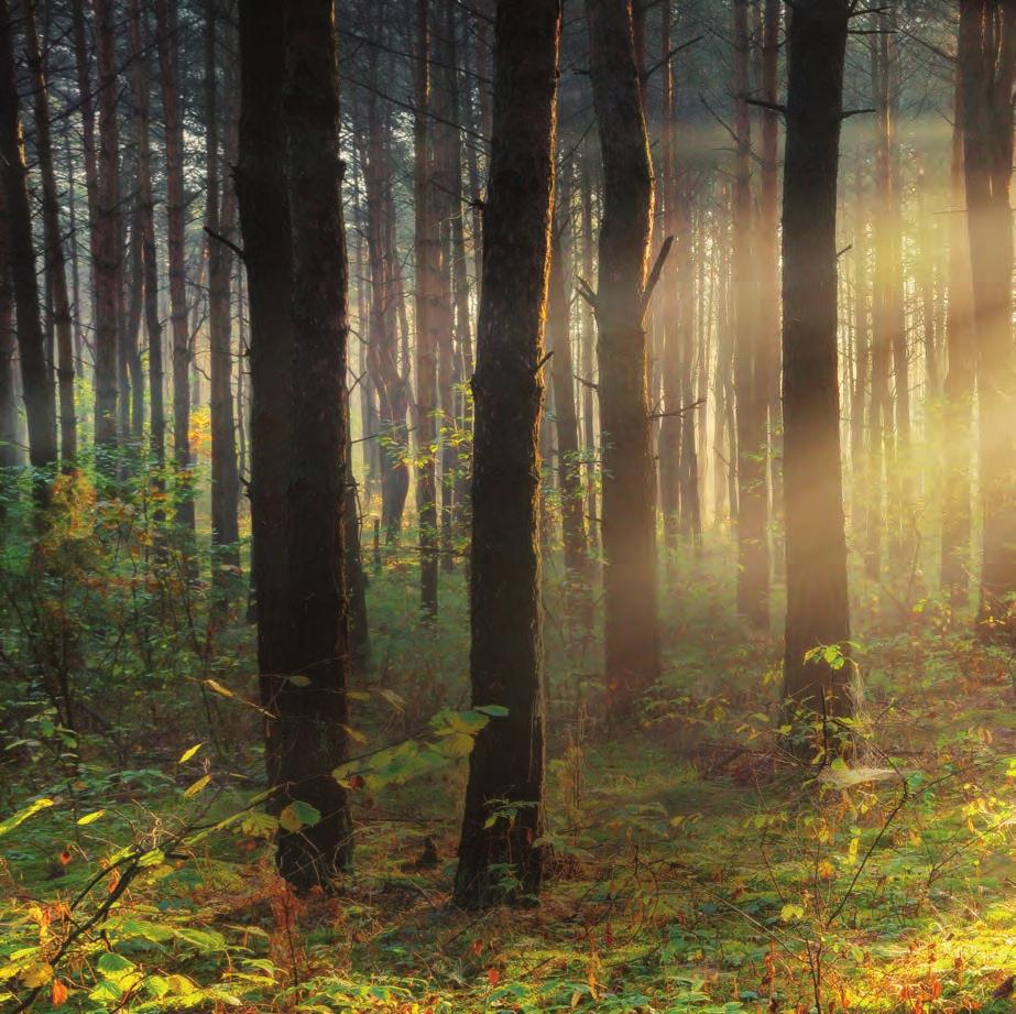 14 Natur schützen. Natürlich gemeinsam.