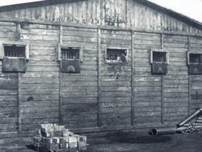 Oktober 1942 Einrichtung eines Außenlagers bei den Reichswerken»Hermann Göring«in Drütte (Watenstedt- Salzgitter) Mitte Oktober 1942 1000 Häftlinge werden als II.