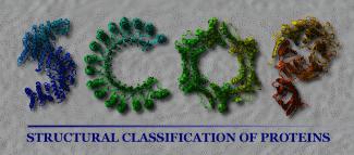 SCOP Structural Classification of Proteins Evolutiv verwandte Proteine mit ähnlicher biologischer Funktion müssen einen ähnlichen strukturellen Aufbau haben.