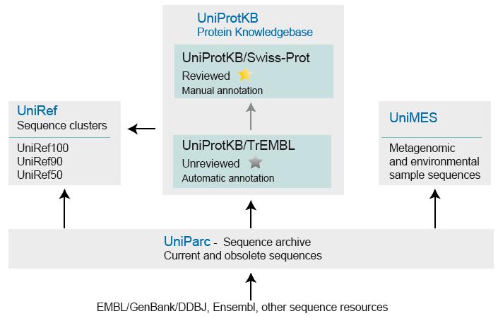 UniProt Universal Protein Resource UniProt enthält Protein-Sequenzen und erläuternde funktionelle Informationen. Es handelt sich um die größte und bekannteste bioinformatische Datenbank für Proteine.