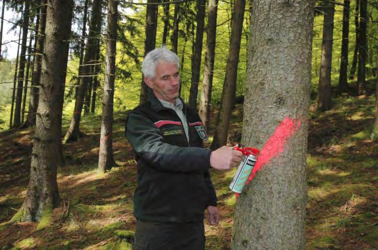 Entwicklung der Waldbewirtschaftung in NRW Konzepte für die naturnahe Bewirtschaftung von Hauptbaumarten (Fichte 2004, Buche 2006, Eiche 2014) Zertifizierung des