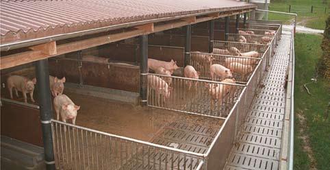 Während der zwei Tage sahen wir einen Bio- Zuchtschweine-Betrieb, einen Bio- Mastbetrieb und zwei (konventionelle) Tierwohl- Label -Ställe.