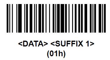 Datenübertragung mit Suffix Enter Den HS 65x8 DPM für die
