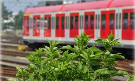 Gesetzte und bestätigte Maßnahmen Maßnahme: Ausbau S13 (Horrem Köln) Troisdorf BN-Oberkassel Beschreibung: Zweigleisige S-Bahn-Strecke mit eingleisigen Abschnitten neben der rechten Rheinstrecke