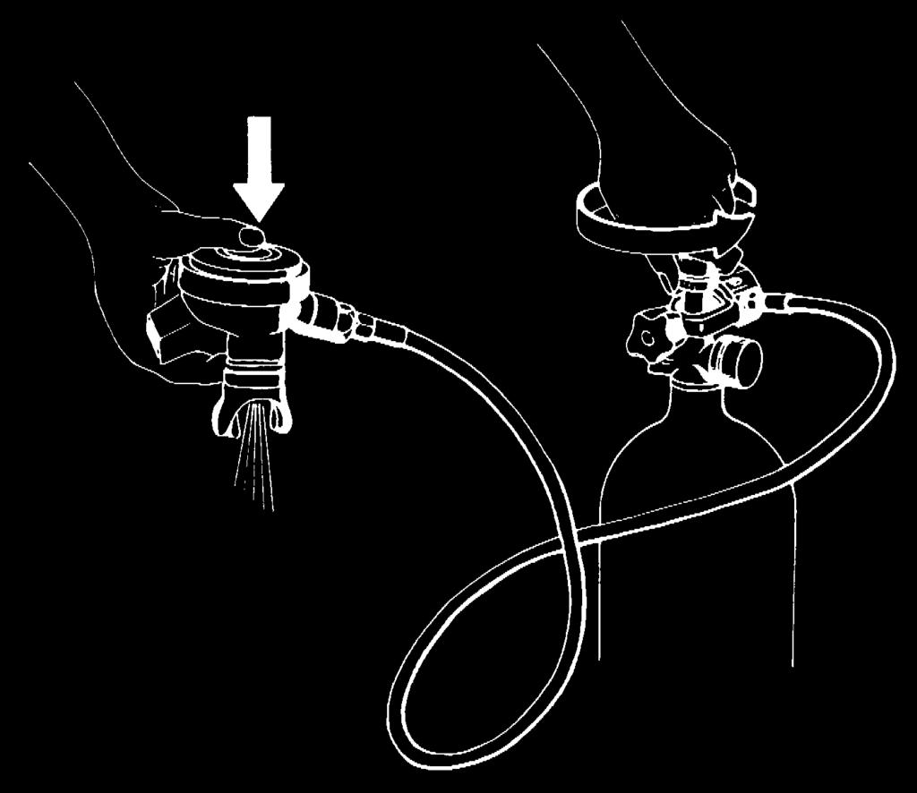 intermediária Fig.