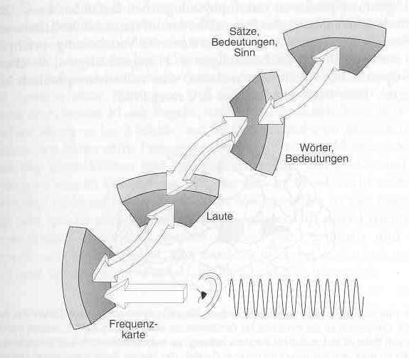 Komplexitätsstufen