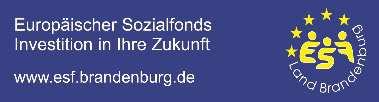 Datenblatt zur Erhebung von Indikatoren im Rahmen des ESF 2014-2020 Richtlinie des Ministeriums für Bildung, Jugend und Sport zur Förderung des Programms "Projekte Schule/Jugendhilfe 2020" in der