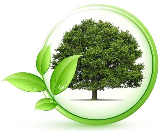 ILKA -Abbeizer CKW-frei der Umwelt zuliebe Wir