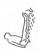Seitenwechsel Übung 5 in Rückenlage:, Arme neben den Körper ablegen AF: Bauch anspannen, beide Knie zum