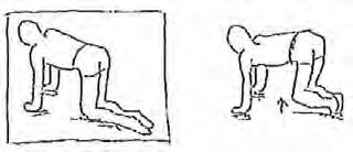 10 Sekunden halten Übung 7 im Vierfüßlerstand: AF: Gesäß und Bauch anspannen, Gesäß bei rundem Rücken zu den Fersen schieben, zurück zur Grundstellung, Rücken wieder strecken (kein Hohlkreuz) Übung 8