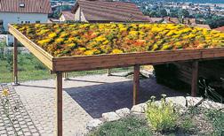 30 Garten Carport Variant 6 x 9 m aus Douglasie Natur (bauseitig nachträglich mit Holzöl behandelt), Flachdach Alu-Trapez-GT mit