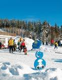 Das fast letzte Natuschneeskigebiet in lockt mit insgesamt etwa 40km Loipen (klassisch und Skating), Schneeschuhwanderwege, 2 Liften, Kinderkarussell und Zauberteppich, sowie Schischule und