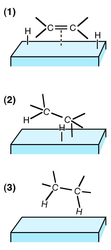 18 Fetthärtung durch Hydrierung nach W. Normann, 1902 Eine Hydrierung ist die Addition von Wasserstoff an Mehrfachbindungen.