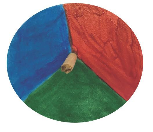 4 Schülerversuche Durchführung: Beobachtung: Die SuS schneiden einen runden Kreis aus der Pappe aus (Durchmesser ca. 5cm).