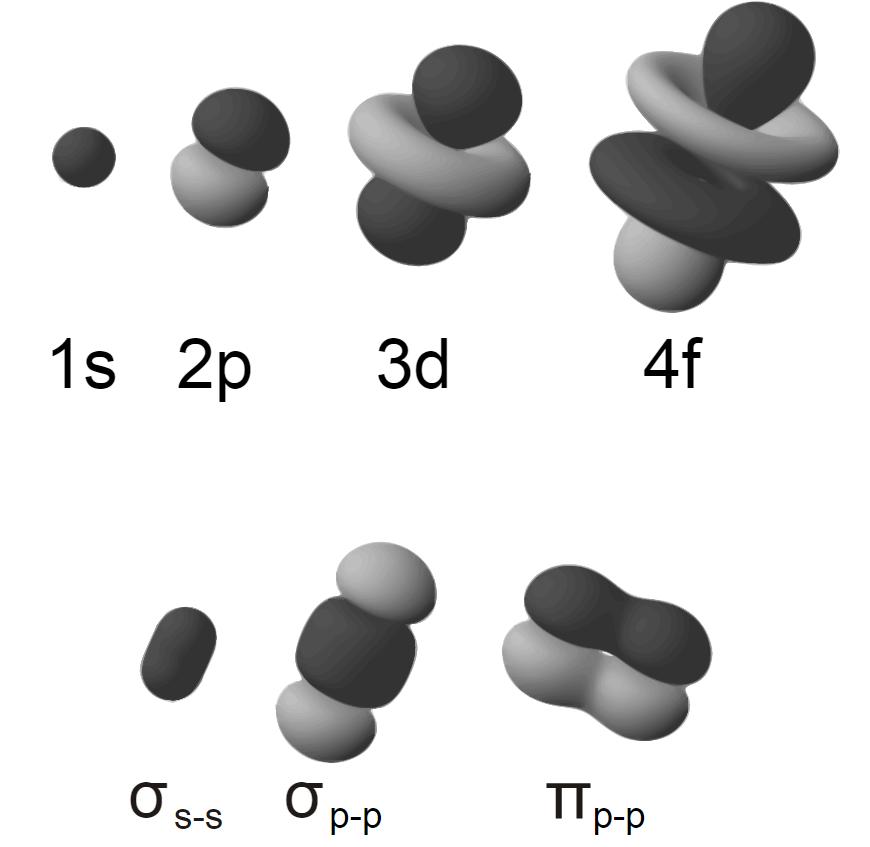 Abbildung 8: Unterschiedliche σ- und π-molekülorbitale Bei den antibindenden Zuständen kehrt sich diese Lage jedoch um, hier überlappt das π -Molekülorbital in beiden Hälften antibindend, allerdings