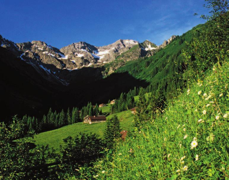 ZITTERKLAPFEN 2403 m Höhenunterschied: 1200 m im Aufstieg 1600 m im Abstieg Transfer zum Vorsäß Boden, Annalperau-Alpe, Töbelealpe hinauf zu den Quellen des Dürrenbach.
