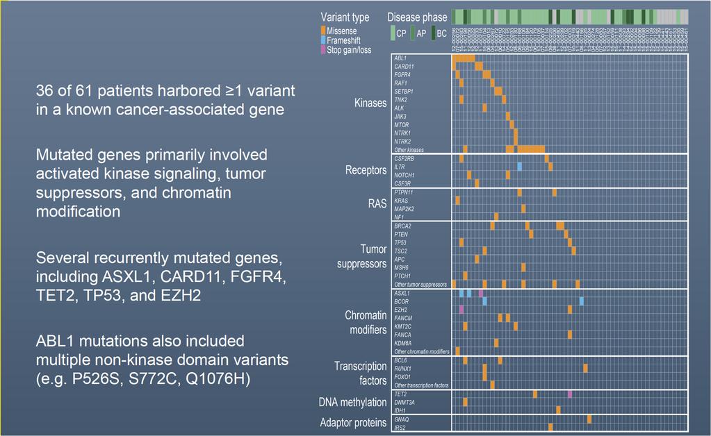 Characterization of the Genomic Landscape of BCR-ABL1