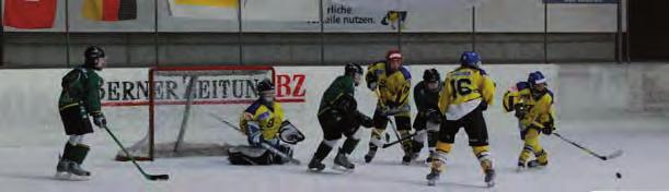 Wisle, genannt nach der geographischen Lage des Wisleparks (Wislebode) eine seriöse Eishockeyausbildung geniesst und daneben Teambildung und