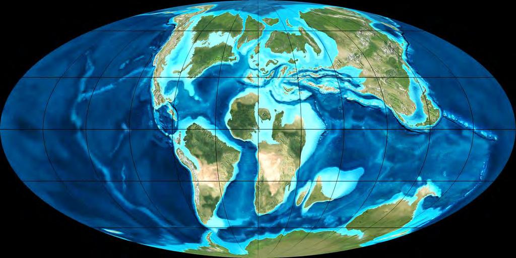 Die Erde in der Kreidezeit : eisfrei und warm Die Öffnung des Atlantiks schreitet immer weiter fort. Indien hat sich von der Antarktis getrennt und wandert nach Norden.