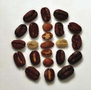 Kaffees aus Ost-Afrika/Arabien JEMEN Arabischer Mokha Aroma ***** Zimt, Holz, Blaubeeren, Gewürze, Jasmin Äthiopien und Jemen sind die Ursprungsländer des Kaffees mit der größten genetischen Vielfalt.