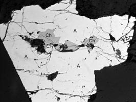 194 Abb. 3: Chalcopyrit (Ch) mit Arsenopyrit (A) in Quarz (dunkel). Bildbreite ca. 500 µm, linear polarisiertes Licht. Fig. 3: Chalcopyrite (Ch) with arsenopyrite (A) in quartz (dark).