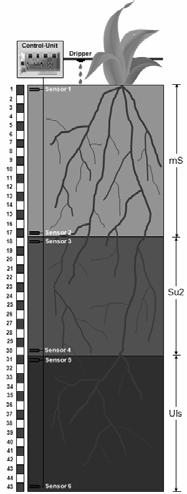 53 Steuerungsparameter nachgewiesen werden, so dass stellenweise eine ganzheitliche Wasserversorgung der Obstbäume ohne jegliche Zusatzbewässerung denkbar ist (Grashey-Jansen 2008a, 2008b).