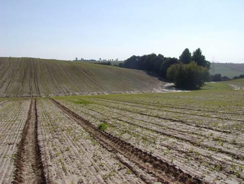 Optimierung der Wasserinfiltration auf Ackerflächen Hauptursache von Wasserabfluss (und Wassererosion!