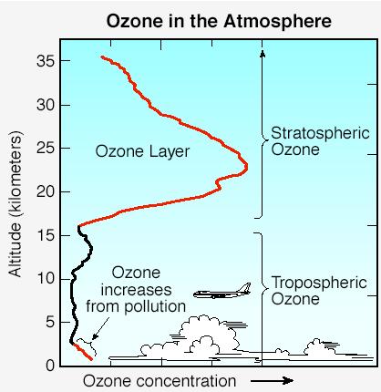 Die vertikale Ozonverteilung