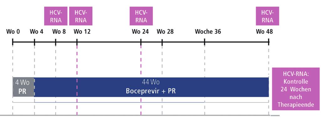 Ein vierwöchiges Lead in mit pegyliertem Interferon und Ribavirin ermöglicht die individuelle Evaluation der Suszepibilität gegenüber der dualen Kombinationstherapie.