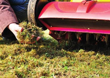 Rasenanbau Vertikutierer und Streuwagen kaufen oder mieten? umweltfreundlich, sowie platzsparend und erfordern einen geringen Wartungsaufwand.