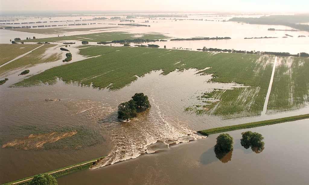 Verlust von Überschwemmungsflächen überflutete Altaue der Elbe bei Wittenberg (Sachsen-Anhalt)