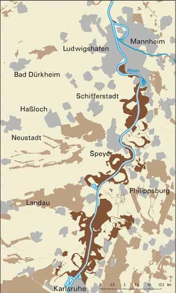 Auen und Natura 2000 51 % der rezenten Flussauen sind Natura- 2000 Gebiete 702 FFH-Gebiete liegen vollständig oder