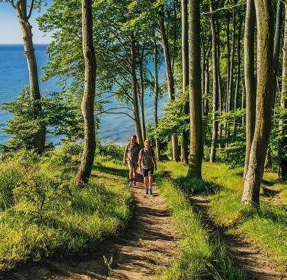 DER 5. WANDERFRÜHLING AUF RÜGEN Bereits zum fünften Mal findet der Wanderfrühling Rügen im Jahr 2017 statt.