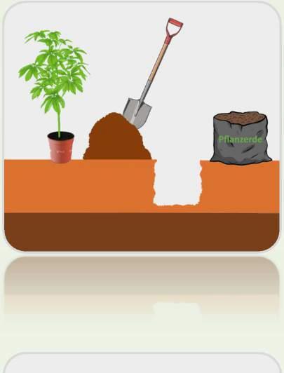 Bodenvorbereitung Die Mehrheit der Pflanzen gedeiht auf einem normalen Boden. Das heißt, dass der Boden nahrhaft, gut durchlässig und humushaltig ist.