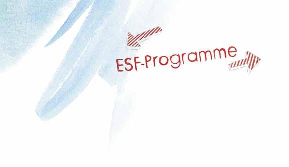 Die ESF-Programme im Überblick 18 #17 Vereinbarkeit von Familie und Beruf gestalten familienfreundliche Arbeitswelt und Zeitsouveränität PROGRAMMZIEL: eine familienfreundliche Lebens- und Arbeitswelt