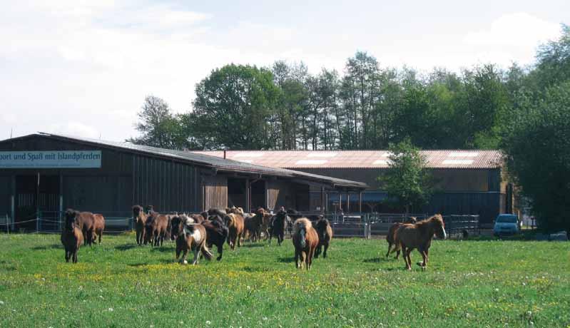 Hof und Menschen Reitschule - Pension - Beritt - Verkauf - Zucht Einer der schönsten Islandpferdehöfe Süddeutschlands ist mit Sicherheit das Islandpferde-Gestüt Bienwald.