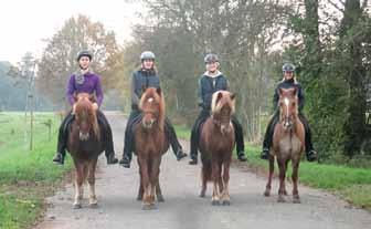 IPZV-Basispass Pferdekunde Lehrgang mit Joëlle Weigel (IPZV Trainer C) Für Jugendliche und Erwachsene.