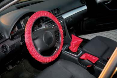 Fahrzeuge verhindert Schmutz auf Schalthebel aus maschinenwaschbarem Nylongewebe 8 Reifengröße Lenkrollen: Ø 125 mm (Vollgummi) max.