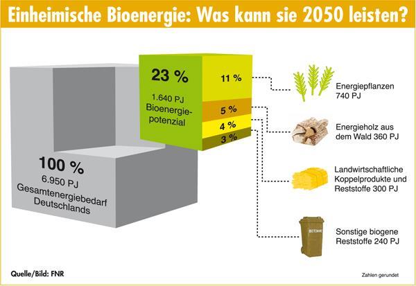 Potenziale der Erneuerbaren Energien Quelle: http://bioenergie.fnr.
