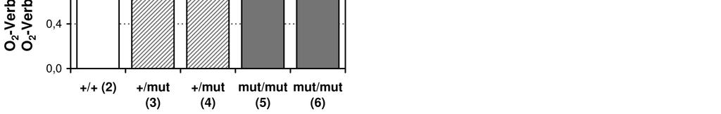 Allerdings entsprechen die Werte überraschenderweise etwa denen der Ndufv1 +/mut -Zellen.