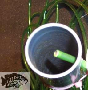 So steckt man also das grüne Röhrchen in die Bohrung und drückt es vorsichtig an das Rohr.