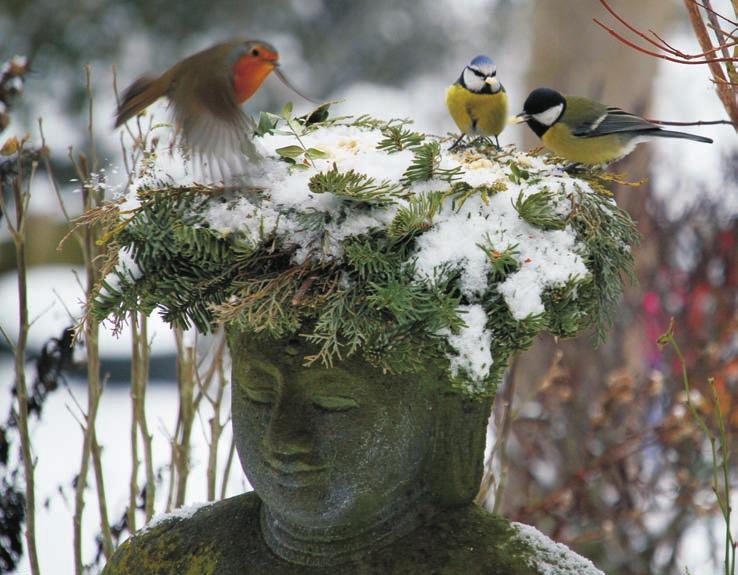 Hinzu kommt die Kälte, die den Vögeln enorm viel abverlangt. Je kleiner der Vogelkörper, umso mehr Energie benötigt er, um nicht zu erfrieren.