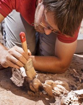 Im Bundes-Land Rheinland-Pfalz arbeiten viele Archäologen zusammen. Zusammen denken sie über die Boden-Funde von Menschen nach.