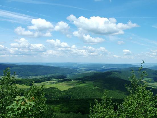 Der Wald in Hessen In Hessen sind etwa 42 Prozent der